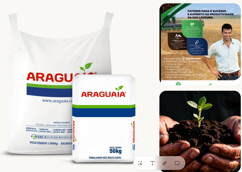 Case Adubos Araguaia: Branding · Agro